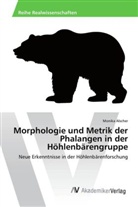 Monika Alscher - Morphologie und Metrik der Phalangen in der Höhlenbärengruppe