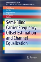 Yi Huang, Yufe Jiang, Yufei Jiang, Eng Gee Lim, Eng Gee et al Lim, Hai Lin... - Semi-Blind Carrier Frequency Offset Estimation and Channel Equalization