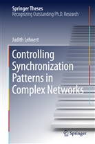 Judith Lehnert - Controlling Synchronization Patterns in Complex Networks