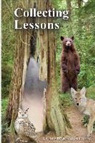 David Hartman - Collecting Lessons: A Fable