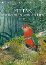 Frank Lambert, Lambert Frank, Woodcock Martin - Pittas, Broadbills and Asities