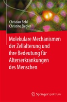 Christia Behl, Christian Behl, Christine Ziegler - Molekulare Mechanismen der Zellalterung und ihre Bedeutung für Alterserkrankungen des Menschen