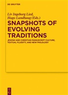 Li Ingeborg Lied, Liv Ingeborg Lied, Liv Ingeborg Lied, Lundhaug, Lundhaug, Hugo Lundhaug - Snapshots of Evolving Traditions