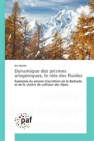 Eric Deville, Deville-e - Dynamique des prismes