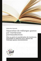 Sofiane Ben Hamouda - Séparation de mélanges gazeux par membranes perméasélectives