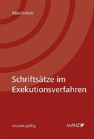 Harald Mini, Günter Scholz - Schriftsätze im Exekutionsverfahren (f. Österreich)