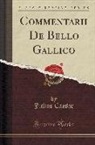 Julius Caesar - Commentarii De Bello Gallico (Classic Reprint)
