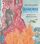 Chris Butterworth, Christine Butterworth, John Lawrence - Seahorse: The Shyest Fish in the Sea