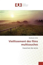 Abdelkader Dehbi - Vieillissement des films multicouches
