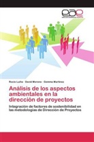 Rocí Luiña, Rocío Luiña, Gemma Martínez, Davi Moreno, David Moreno - Análisis de los aspectos ambientales en la dirección de proyectos