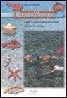 Marco Lambertini, S. Barsotti, R. Faleni - Elba sott'acqua. Guida ai pesci e altra vita marina. Itinerari snorkeling. Con pinne e maschera