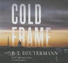 P. T. Deutermann, Dick Hill - Cold Frame (Hörbuch)
