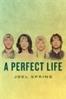 Joel Spring - A Perfect Life