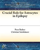 Peter Bedner, Christian Steinhauser, Christian Steinhäuser - Crucial Role for Astrocytes in Epilepsy