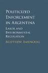 Matthew Amengual, Matthew (Massachusetts Institute of Tech Amengual, Matthew (Massachusetts Institute of Technology) Amengual, Amengual Matthew - Politicized Enforcement in Argentina