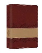 Christopher D. Hudson - The Prophecy Study Bible