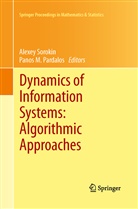 M Pardalos, M Pardalos, Panos M Pardalos, Panos M. Pardalos, Alexe Sorokin, Alexey Sorokin - Dynamics of Information Systems: Algorithmic Approaches