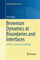 Zeev Schuss - Brownian Dynamics at Boundaries and Interfaces