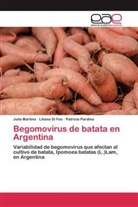 Lilian Di Feo, Liliana Di Feo, Juli Martino, Julia Martino, Patricia Pardina - Begomovirus de batata en Argentina