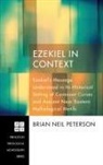 Brian Neil Peterson - Ezekiel in Context