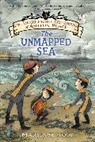 Maryrose Wood, Wood Maryrose, Eliza Wheeler, Wheeler Eliza - The Incorrigible Children of Ashton Place: Book V