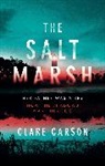 Clare Carson - Salt Marsh