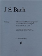Johann Sebastian Bach, Hans Eppstein - Johann Sebastian Bach - Triosonate und Canon perpetuus aus dem Musikalischen Opfer BWV 1079 Nr. 8 und 9 für Flöte, Violine und Continuo