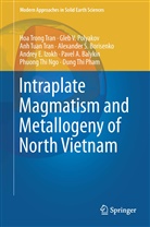 Pavel A. Balykin, Alexander S. Borisenko, Andrey E. Izokh, Phuong Thi Ngo, Dung Thi Pham, Gleb Polyakov... - Intraplate Magmatism and Metallogeny of North Vietnam