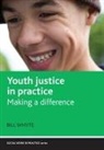 Bill Whyte - Youth justice in practice