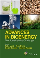 Goeran Berndes, Goeran et al Berndes, Joh Byrne, John Byrne, John A. Byrne, P Lund... - Advances in Bioenergy