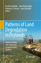 Anthony J Parsons et al, Eva Nora Mueller, Anthony J. Parsons, Laura Turnbull, Joh Wainwright, John Wainwright - Patterns of Land Degradation in Drylands