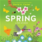 David Carter, David A. Carter - Spring