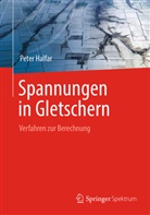 Peter Halfar - Spannungen in Gletschern
