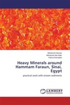 Mohame Abu Bakr, Mohamed Abu Bakr, Mohame Hassan, Mohamed Hassan, Fatma Ramadan - Heavy Minerals around Hammam Faraun, Sinai, Egypt