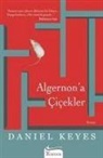 Daniel Keyes - Algernona Cicekler