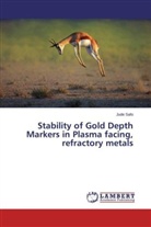 Jude Safo - Stability of Gold Depth Markers in Plasma facing, refractory metals