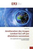 Joseph Libar, Libar-j - Amelioration des images landsat