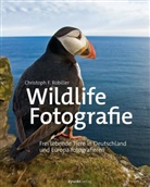 Christoph F F. Robiller, Christoph F. Robiller, Franz Robiller - Wildlife-Fotografie