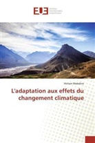 Hicham Abdedine, Abdedine-h - L adaptation aux effets du
