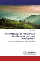 Tsegaye Tuke - The Potential of Indigenous Institutions for Local Development
