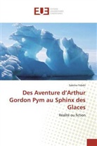 Sabrina Yebdri, Yebdri-S - Des aventure d arthur gordon pym