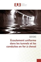 Bachir Achour, Rachi Zegait, Rachid Zegait - Ecoulement uniforme dans les