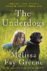 Melissa Greene, Melissa Fay Greene - The Underdogs