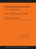 Ehud Hrushovski, Ehud Hrushovski, Ehud Loeser Hrushovski, Hrushovski Ehud, Francois Loeser, François Loeser - Non-Archimedean Tame Topology and Stably Dominated Types