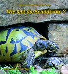 Andreas Fischer-Nagel, Heideros Fischer-Nagel, Heiderose Fischer-Nagel - Wie lebt die Schildkröte?