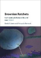 David Cubero, David (Universidad de Sevilla) Cubero, David (Universidad De Sevilla) Renzoni Cubero, David Renzoni Cubero, Cubero David, Ferruccio Renzoni... - Brownian Ratchets