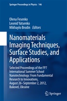 Mikhaylo Brodin, Olena Fesenko, Leoni Yatsenko, Leonid Yatsenko - Nanomaterials Imaging Techniques, Surface Studies, and Applications