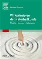 Kay Uwe Kämmerer - Wirkprinzipien der Naturheilkunde