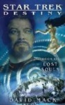 David Mack, Rick Berman, Gene Roddenberry - Lost Souls