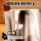 Arthur Conan (Sir) Doyle, Martin Keßler, Norbert Langer, Lutz Mackensy - Sherlock Holmes & Co. - Die Geisterfrau, 1 Audio-CD (Audio book)